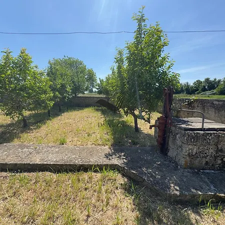 Dans Mon Verger - Agreable Maison Idealement Situee Saint-Agnant